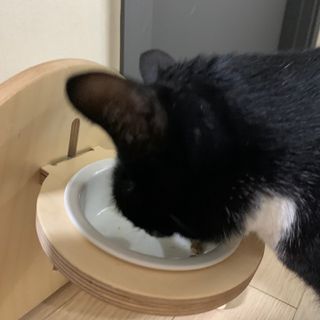 manu님이 올린 리뷰 사진 3