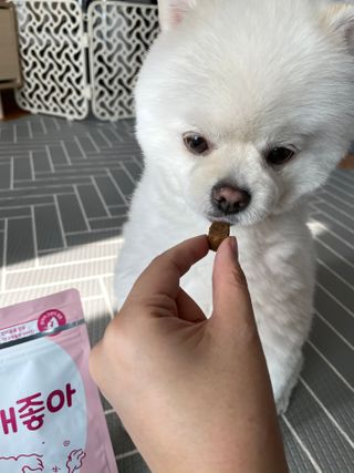 My Pet Care 천연단백질 관절건강에 개좋아 — 4.5점을 준 리뷰어가 2021년 1월 올린 사용 사진