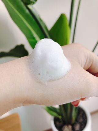 풀무원 브리엔 엔젤리카 허브 브라이트닝 클렌저+전용펌프 — 4.5점을 준 리뷰어가 2021년 3월 올린 사용 사진