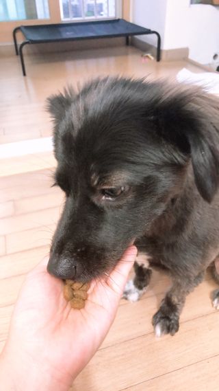 고구마님이 올린 리뷰 사진 4