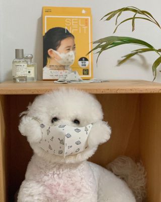 윤긍정님이 올린 리뷰 사진 3