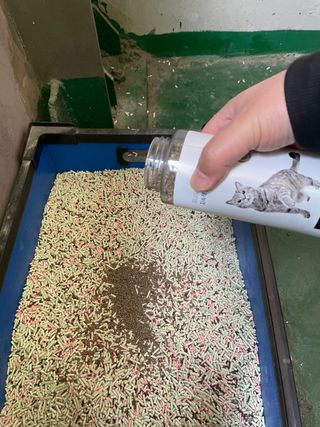 러블리님이 올린 리뷰 사진 2