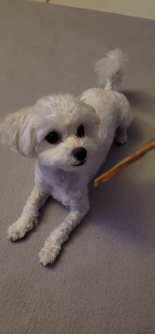 땅콩빠다님이 올린 리뷰 사진 3