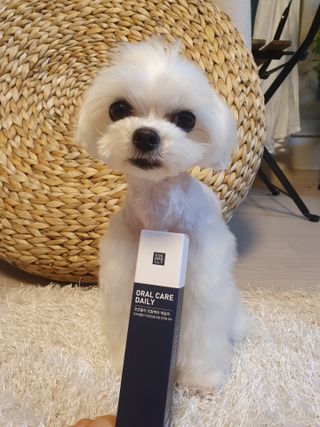구니구니구니님이 올린 리뷰 사진 2