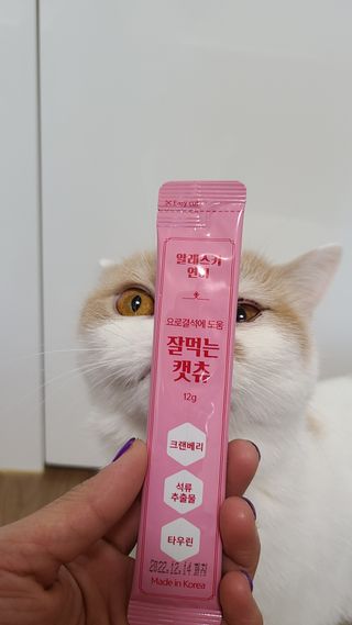 페페로니 잘 먹는 캣츄 - 알래스카 연어 24개입 — 5점을 준 리뷰어가 2021년 9월 올린 사용 사진