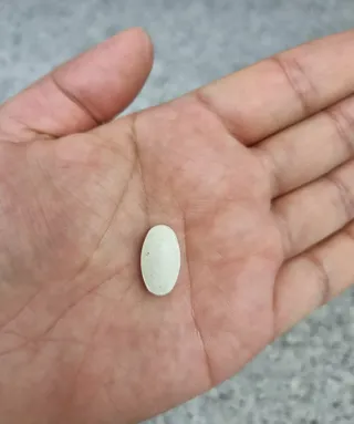 렐라님이 올린 리뷰 사진 4
