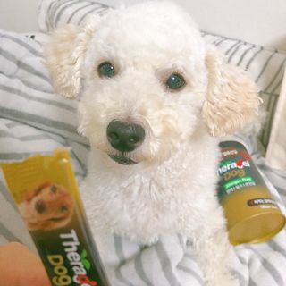 아임하리님이 올린 리뷰 사진 1