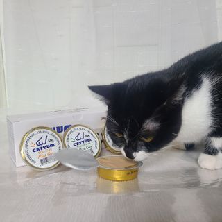 유림님이 올린 리뷰 사진 1