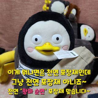 그므시라꼬님님이 올린 리뷰 사진 2