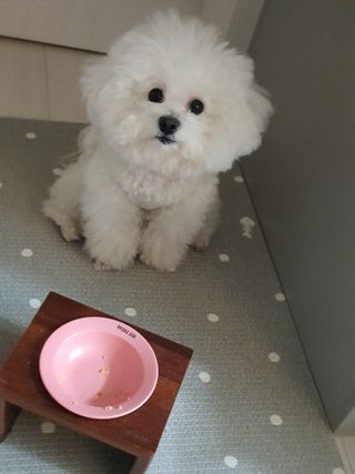hyun♡님이 올린 리뷰 사진 4