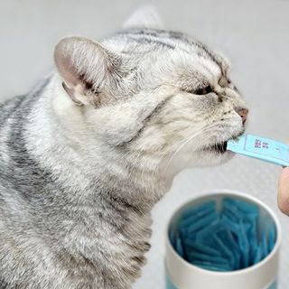 페페로니 잘 먹는 캣츄 - 원양선 참치 24개입 — 5점을 준 리뷰어가 2021년 7월 올린 사용 사진