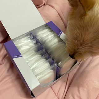 세지니힛님이 올린 리뷰 사진 2