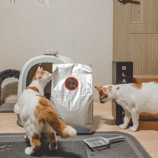 BoramKim님이 올린 리뷰 사진 2