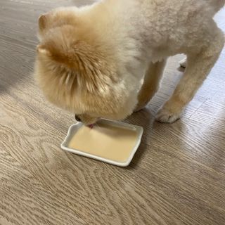 세지니힛님이 올린 리뷰 사진 4