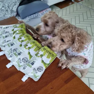 기린짱맘님이 올린 리뷰 사진 1