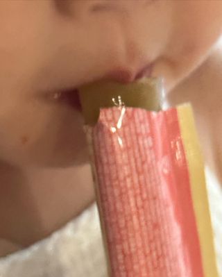 다나음 셀렌에 빠진 아연면역젤리 열대과일맛+사과맛 — 4점을 준 리뷰어가 2023년 8월 올린 사용 사진