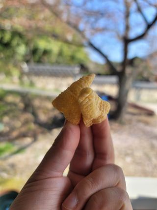 뚜디니님이 올린 리뷰 사진 3