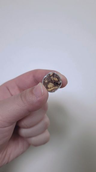 sowon님이 올린 리뷰 사진 3