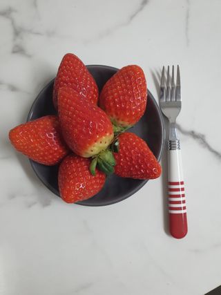 옳음 딸기 논산 설향 딸기 900g 산지직송 — 5점을 준 리뷰어가 2021년 1월 올린 사용 사진