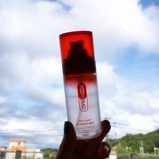 레드투래드 안티더스트 배리어 미스트 55ml — 4.5점을 준 리뷰어가 2021년 6월 올린 사용 사진