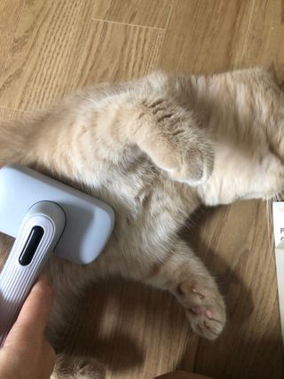 flowerblooming님이 올린 리뷰 사진 2