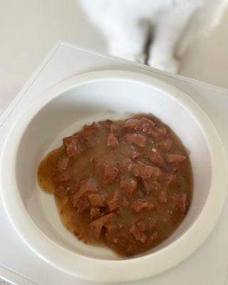 비타크래프트 포에시 델리스 고양이 파우치 85g 9가지맛 1팩씩 — 5점을 준 리뷰어가 2021년 8월 올린 사용 사진