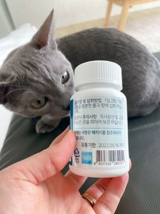 에이치알팜 조인트-서포트 보스웰리아 MSM 650mg x 120정 — 5점을 준 리뷰어가 2021년 4월 올린 사용 사진
