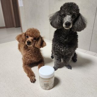 산이네ෆ˙ ᵕ ˙ෆ님이 올린 리뷰 사진 1