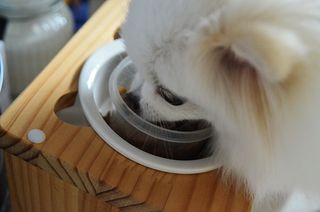 JAY님이 올린 리뷰 사진 1