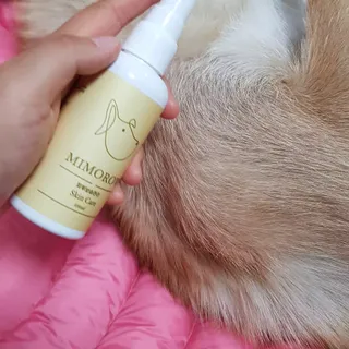 초코찌누나님이 올린 리뷰 사진 4