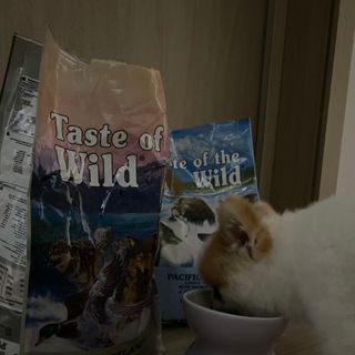 ㄹ발음님이 올린 리뷰 사진 4