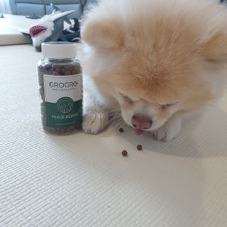 bangwoori님이 올린 리뷰 사진 4