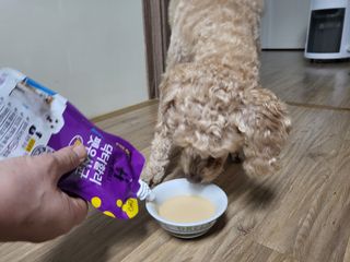 진진이님이 올린 리뷰 사진 4