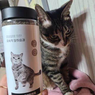 이수님이 올린 리뷰 사진 4