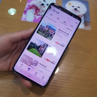 삼숑이맘님이 올린 리뷰 사진 3