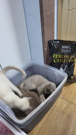 김주사랑님이 올린 리뷰 사진 3