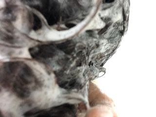 썸헤어 / SUMHAIR 썸헤어 데미지 클리닉 샴푸+트리트먼트 네롤리&민트티 — 4점을 준 리뷰어가 2021년 6월 올린 사용 사진