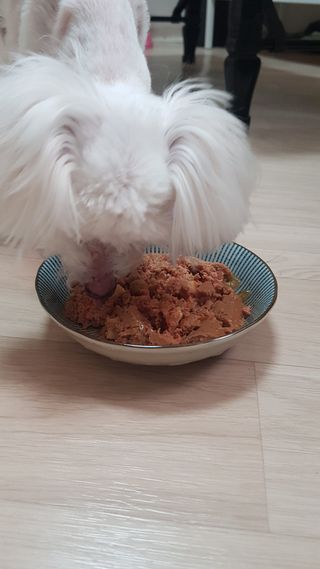 chloe님이 올린 리뷰 사진 4