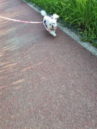 희온느님이 올린 리뷰 사진 1