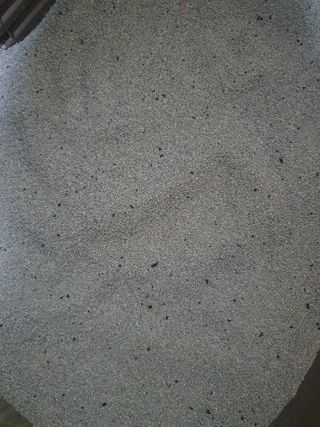 행운의집 실키식스 9kg 크린 언씬티드 프리미엄 고양이모래 — 4점을 준 리뷰어가 2021년 3월 올린 사용 사진