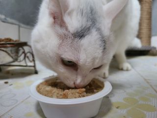JinSePark님이 올린 리뷰 사진 4