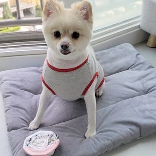 모르님이 올린 리뷰 사진 4