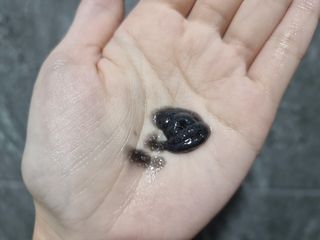 제이sy님이 올린 리뷰 사진 4