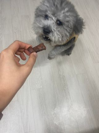 갱스님이 올린 리뷰 사진 4