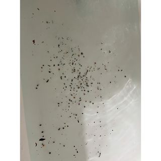 심쿵해에님이 올린 리뷰 사진 3