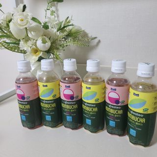 더그레잇티 콤부차 [매일유업] 더그레잇티 44kcal 콤부차 300ml *12개입 (오리지널 6개+베리리치 6개) — 5점을 준 리뷰어가 2023년 8월 올린 사용 사진