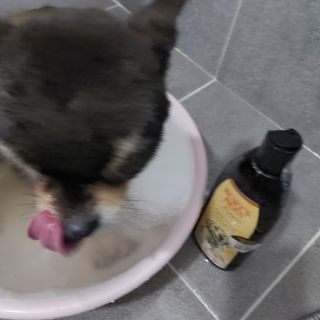 복도리님이 올린 리뷰 사진 3