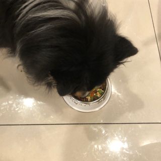 빼곰님이 올린 리뷰 사진 4