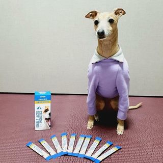 씨디랩 장 건강과 구강 건강을 한 번에 더블락토 강아지 고양이 유산균 — 5점을 준 리뷰어가 2021년 1월 올린 사용 사진