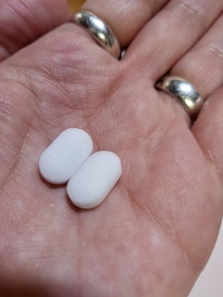 서울약사신협_식물성 엠에스엠_500mg x 120정 — 4점을 준 리뷰어가 2021년 11월 올린 사용 사진
